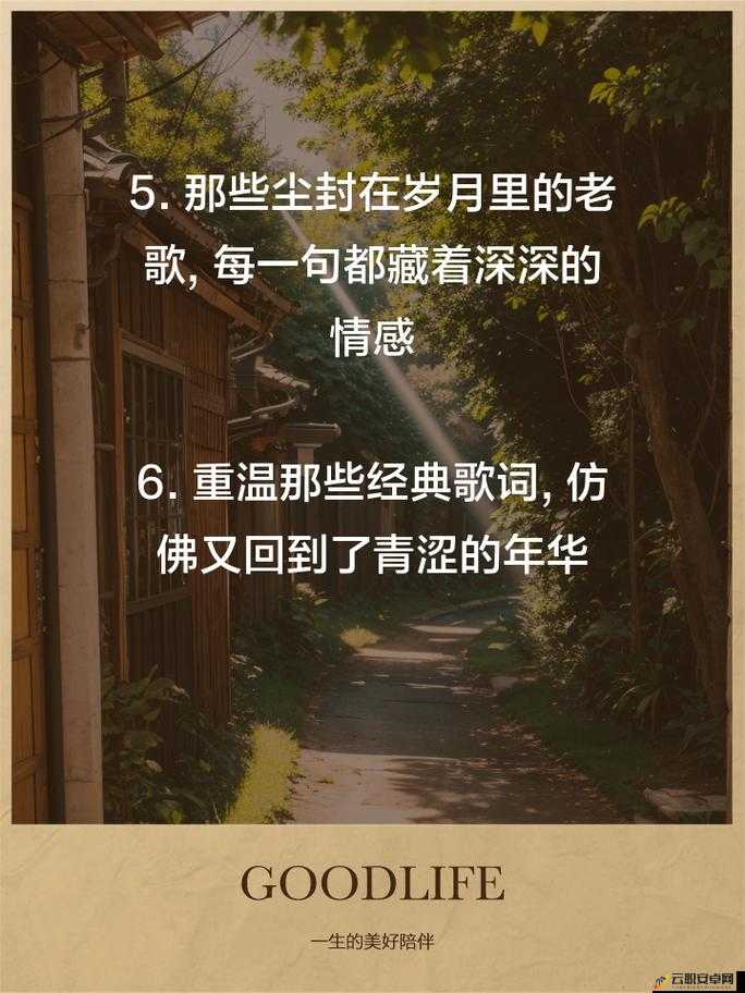 经典忧伤老歌，岁月长河中的情感回响