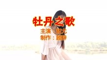 经典香港老歌十五首，岁月流转的音乐记忆