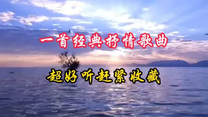 经典抒情老歌，时光流转中的旋律之美