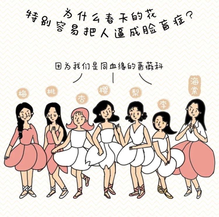 经典视频老歌五百首，时光里的旋律唤醒记忆