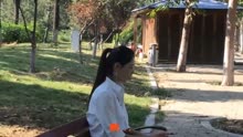 经典老歌在线播放试听，重温美好旋律的时代之旅