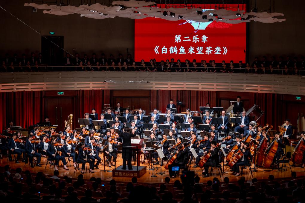 经典老歌再现南泥湾——历史与现代的交响乐章