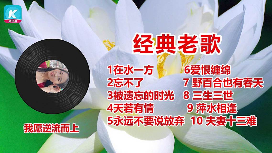 经典老歌心雨五百首，岁月之歌的深情回响