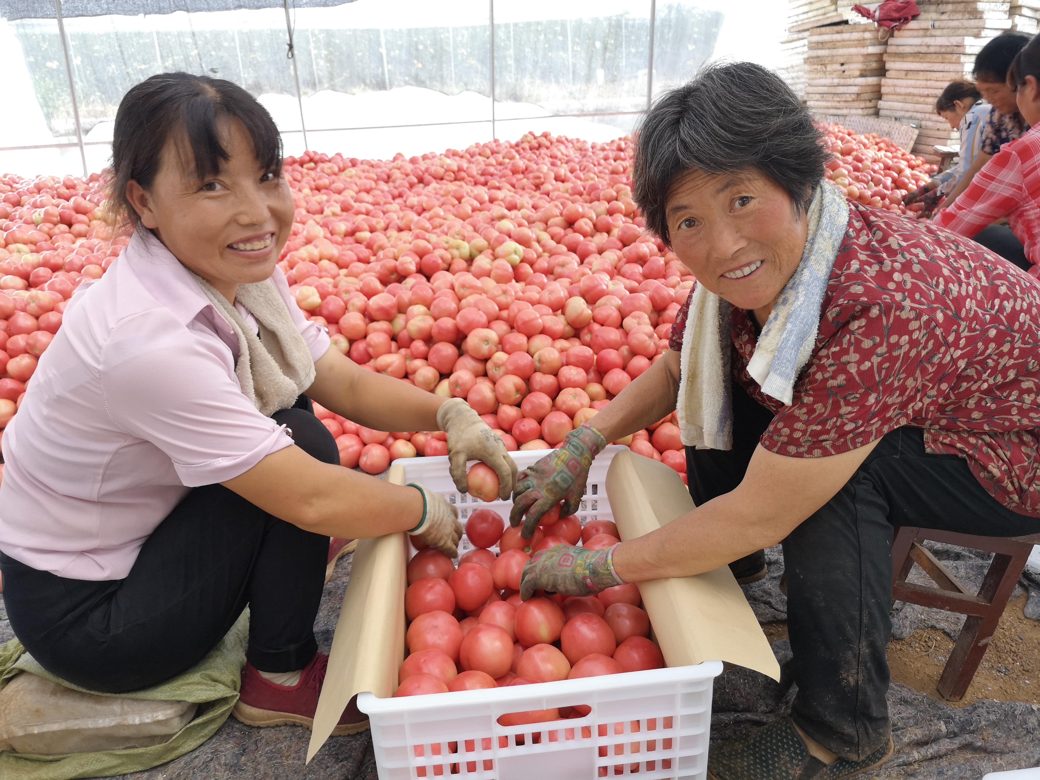 江宁招工最新招聘信息概览