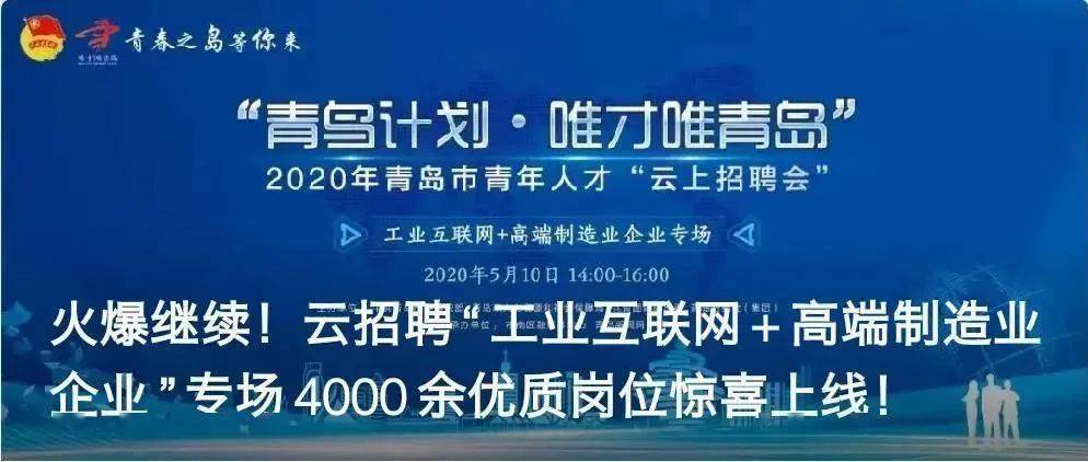 江宁人才市场招聘要求深度解析