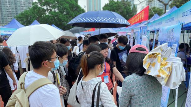 江门国际人才网招聘网——连接人才与机遇的桥梁