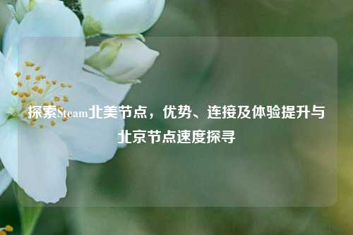 探索Steam北美节点，优势、连接及体验提升与北京节点速度探寻