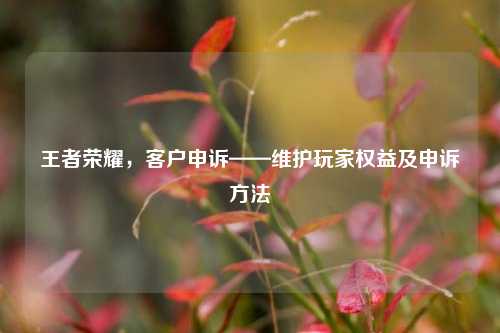 王者荣耀，客户申诉——维护玩家权益及申诉方法
