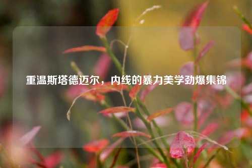 重温斯塔德迈尔，内线的暴力美学劲爆集锦