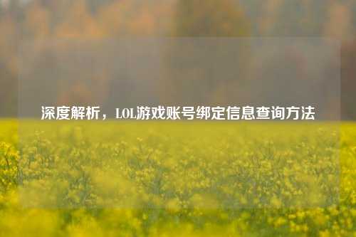 深度解析，LOL游戏账号绑定信息查询方法
