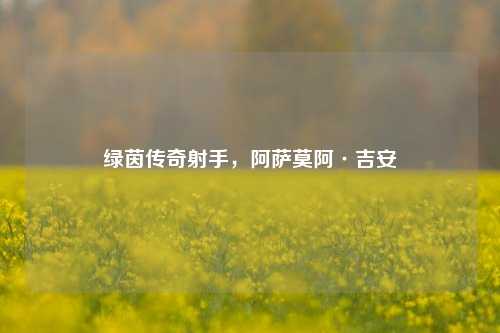 绿茵传奇射手，阿萨莫阿·吉安