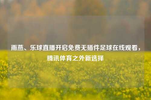 雨燕、乐球直播开启免费无插件足球在线观看，腾讯体育之外新选择