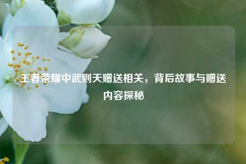 王者荣耀中武则天赠送相关，背后故事与赠送内容探秘