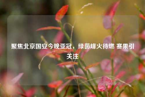 聚焦北京国安今晚亚冠，绿茵烽火待燃 赛果引关注