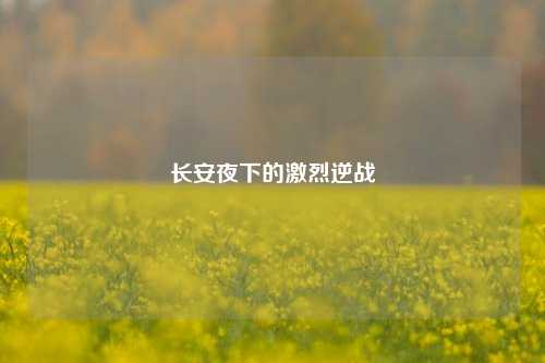 长安夜下的激烈逆战