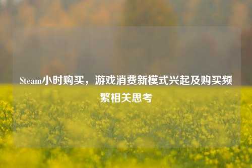 Steam小时购买，游戏消费新模式兴起及购买频繁相关思考