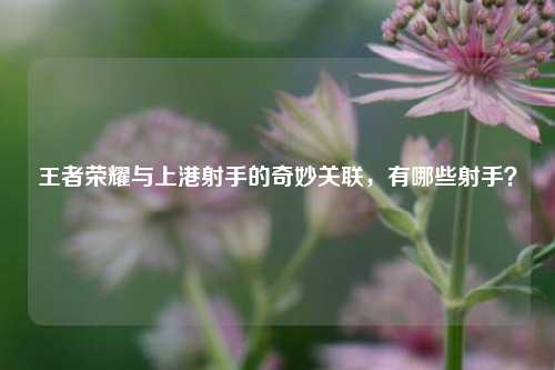 王者荣耀与上港射手的奇妙关联,有哪些射手?