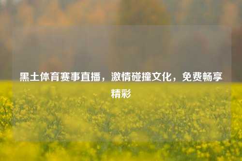 黑土体育赛事直播，激情碰撞文化，免费畅享精彩