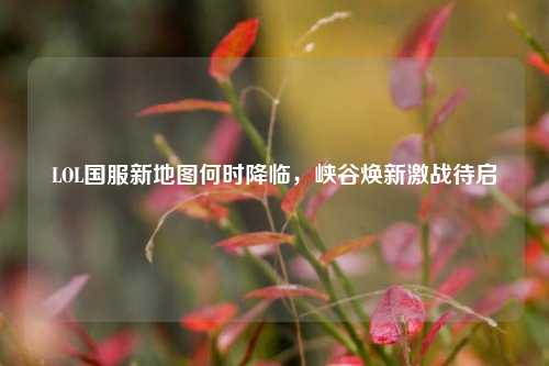 LOL国服新地图何时降临，峡谷焕新激战待启