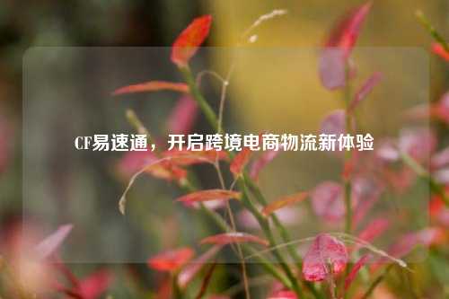 CF易速通，开启跨境电商物流新体验