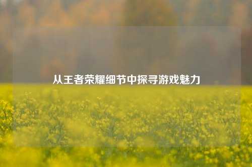 从王者荣耀细节中探寻游戏魅力
