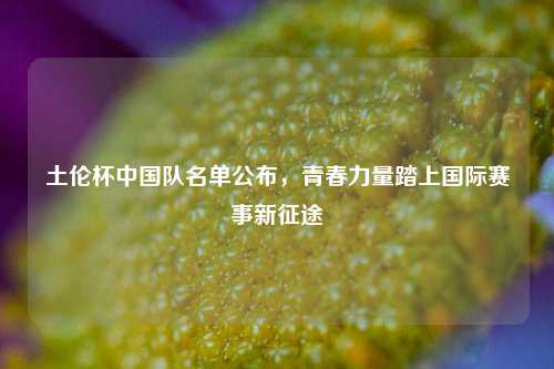 土伦杯中国队名单公布，青春力量踏上国际赛事新征途