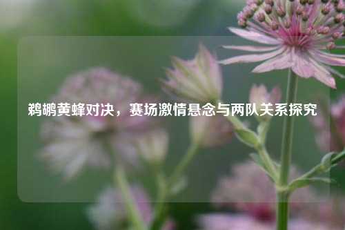鹈鹕黄蜂对决，赛场激情悬念与两队关系探究