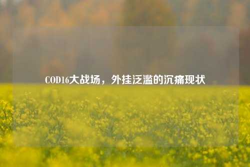 COD16大战场，外挂泛滥的沉痛现状