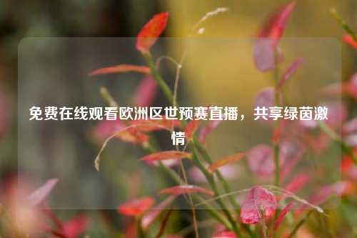免费在线观看欧洲区世预赛直播，共享绿茵激情