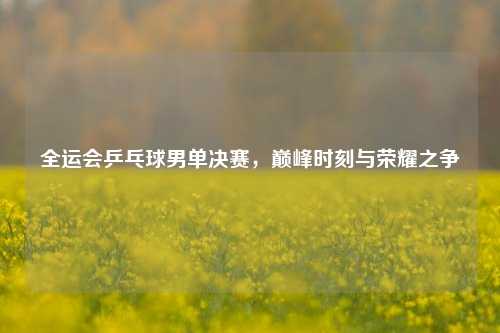 全运会乒乓球男单决赛，巅峰时刻与荣耀之争