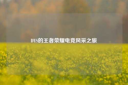 DYS的王者荣耀电竞风采之旅
