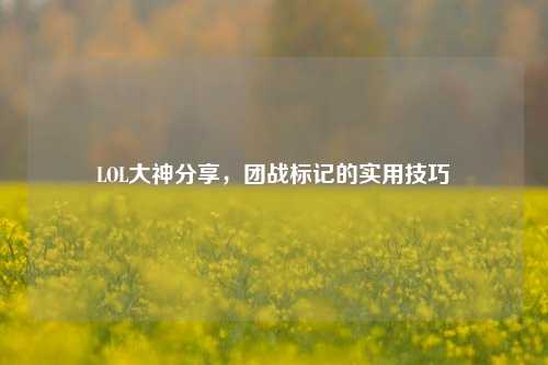 LOL大神分享，团战标记的实用技巧