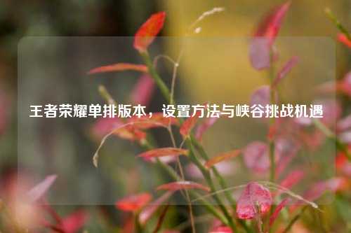 王者荣耀单排版本，设置方法与峡谷挑战机遇