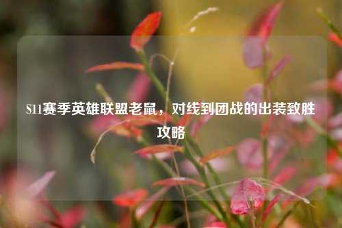 S11赛季英雄联盟老鼠，对线到团战的出装致胜攻略