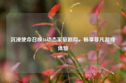 沉浸使命召唤16动态家庭剧院，畅享非凡游戏体验