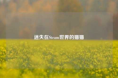 迷失在Steam世界的猫猫