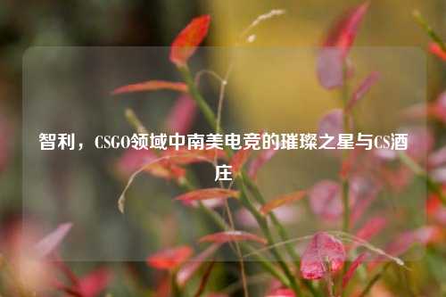 智利，CSGO领域中南美电竞的璀璨之星与CS酒庄