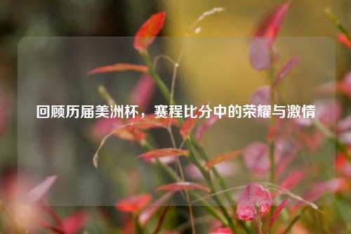 回顾历届美洲杯，赛程比分中的荣耀与激情