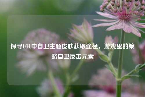 探寻LOL中自卫主题皮肤获取途径，游戏里的策略自卫反击元素