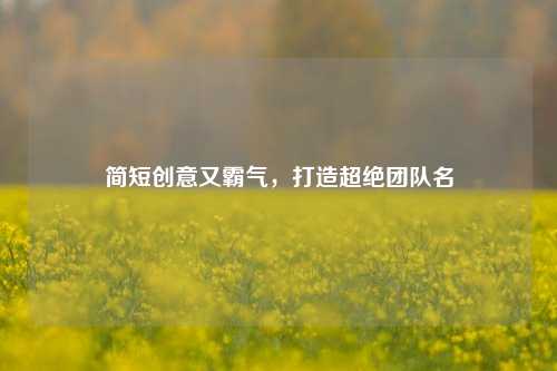简短创意又霸气，打造超绝团队名