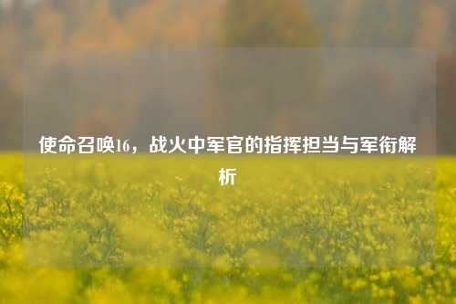 使命召唤16，战火中军官的指挥担当与军衔解析