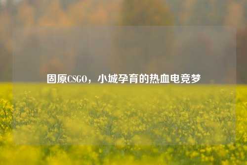 固原CSGO，小城孕育的热血电竞梦