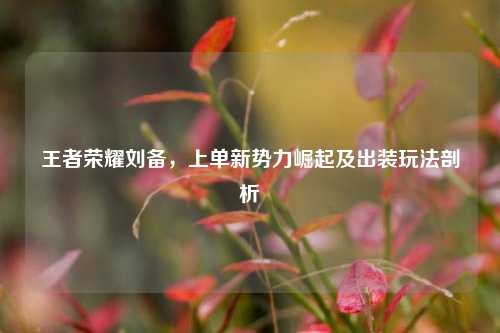 王者荣耀刘备，上单新势力崛起及出装玩法剖析