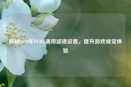 揭秘2020年PUBG通用滤镜设置,提升游戏视觉体验