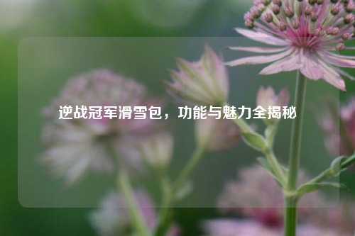 逆战冠军滑雪包，功能与魅力全揭秘