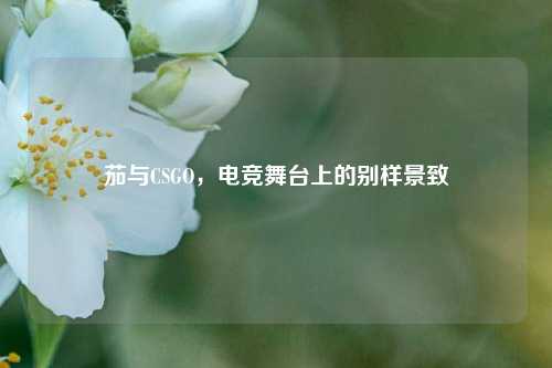 茄与CSGO，电竞舞台上的别样景致