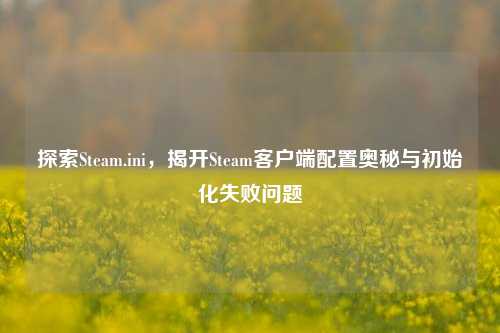 探索Steam.ini，揭开Steam客户端配置奥秘与初始化失败问题