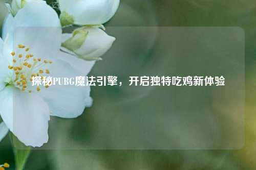 探秘PUBG魔法引擎，开启独特吃鸡新体验