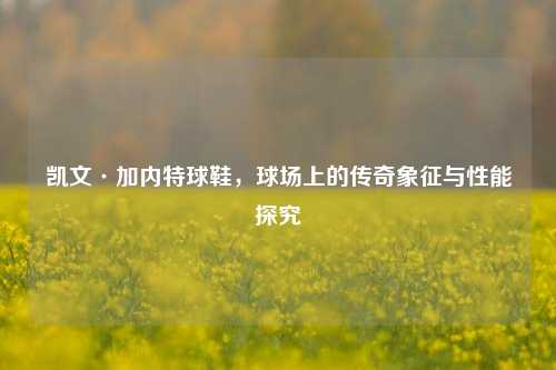 凯文·加内特球鞋，球场上的传奇象征与性能探究