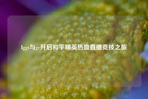 Iggt与gc开启和平精英热血直播竞技之旅